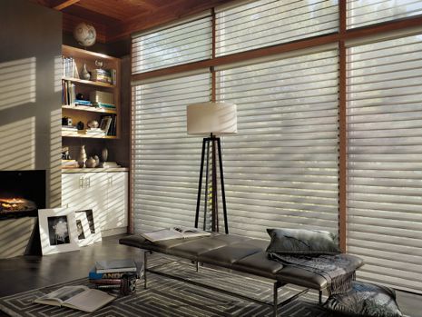 Hunter Douglas Alustra® Silhouette Window Shadings